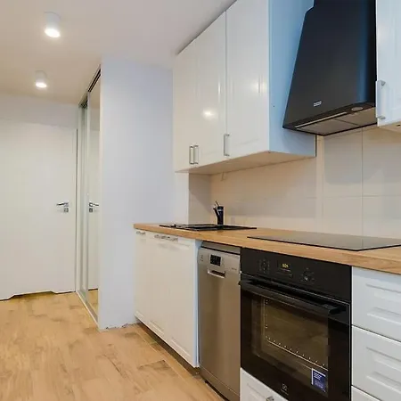 Chmielna Central 36 M2 - Free Parking - Stunning View Varsovia